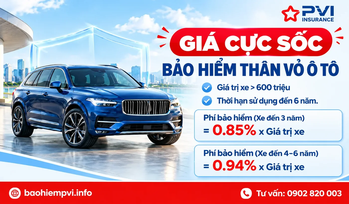 Các điều khoản bảo hiểm phổ biến